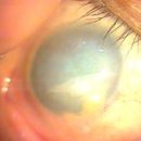 사하구-50 이미지