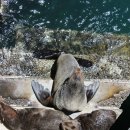 시아농장 이미지