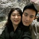 벚꽃로 | 서울벚꽃명소로 추천드리는신도림 도림천길 벚꽃로 다녀온 후기