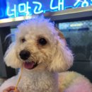 동남로29길 이미지