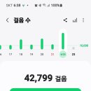 매봉(1) 이미지