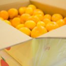 수복농장 이미지