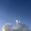 비트윈(주) | [서울] 각종 모임 후기 : 넷플연가/트레바리/비트윈잡스