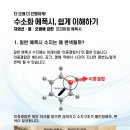 스카이라이언