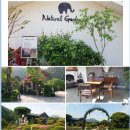 벽계천 명당에 자리 잡은 네츄럴 가든 이미지