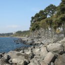 제주 올레길 7코스 이미지