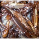 주문진산오징어 이미지