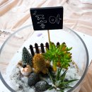 12/9 크리스마스 테라리움 이미지