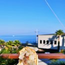 달빛명월 이미지