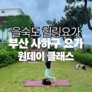 힐링요가 | [부산 사하구] 을숙도 힐링요가 추천 | 내돈내산 후기