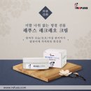 레푸스앤두두뷰티 이미지