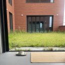 피자스쿨수원금곡점 이미지