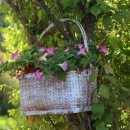 오늘하루가 이미지