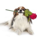 멍이요 천안지점 이미지