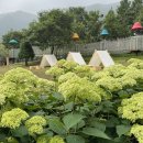 제1019차(20기-35차/ 26.6.27) 진주 월아산 정기산행 이미지