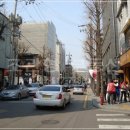 가로수길 - 홍천군 연봉로 43 | 가로수길