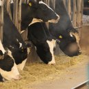 점촌목장 이미지