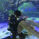 텃밭약국 이미지