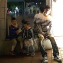 예송동물병원 | [16.5.14] 경남 고성 공룡세계엑스포를 다녀오다...