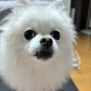 오즈노래연습장 이미지