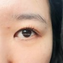 그라지에 뷰티 | 대구속눈썹/달서구속눈썹 :: 그라지에 토탈 뷰티샵 속눈썹 펌 후기