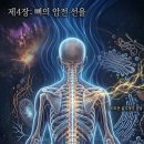 제4장 이미지