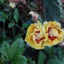 구암동001 이미지