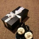 까멜리아 이미지