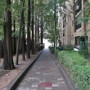 연세부동산중개법인주식회사 이미지