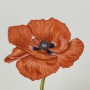 보테니컬아트 이미지