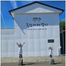 표선면 성읍리 법성사 | 제주 아이랑 가볼만한 곳 추천, 승마체험 가능한 목장카페 밭디 가족여행 후기