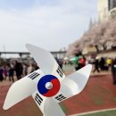 세븐일레븐 의정부 호원한마음 | 2025 의정부 한마음 건강걷기 참가 후기.