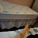 둔산스마일의원 이미지