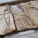 벨라하우스 | [셀프 청첩장(4)] 비즈하우스 청첩장 제작 후기 (+페이퍼벨라 봉투/스티커)