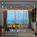 하나로커튼 | 커튼 하나로 집 분위기 바뀐 강남커튼 강남커튼블라인드 후기
