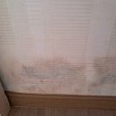 이레장식 | 서산 도배 이레장식, 실크로 전원주택을 매매 후기