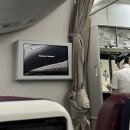 암스테르담 | 암스테르담 공항 10분 환승 후기 (진짜임)