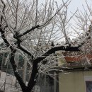 우장산근린공원 이미지