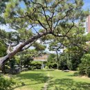 허왕후 오리명가 | 김해 주촌 밥집 오리고기 맛집 허왕후 오리명가 점심 후기