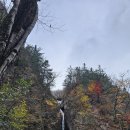 제146회 정기산행 공지(설악산 흘림골,주전골 단풍산행) 이미지