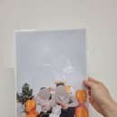 추억정원 | 추억 남기기 좋은 정원 셀프사진관 평택 비전 소사벌점 후기