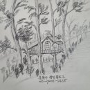 스케치 이미지