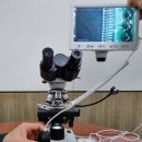 주식회사 미디어웍스 이미지