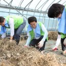 박영태농장 이미지