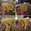 대구북구맛집 참숯삼인조 침산점 보양식 찐맛있는 마늘산낙지구이 내돈내산