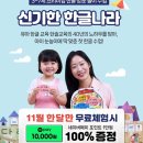 신기한나라 이미지