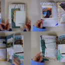 바늘과실 이미지