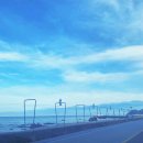 (주)로티엑스 | 울릉도 백패킹 전야제 캠핑장소로 적합한 울진군 해수욕장