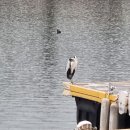 남순천의원 이미지