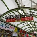 수산시장 티스토리